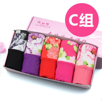 5Pcs Print Panties Women's Underwear Cute Cotton Panties Plus Size Briefs Girl Ladies Lingeries Panty Sexy Underpants For  Women Store ARBELLA'S